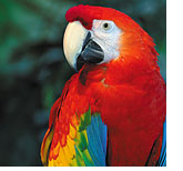 South Carolina Aquariun - Secrets of the Amazon