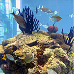 The Great Hall at the South Carolina Aquariun