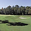 Coosaw Creek Golf
