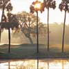 Turtle Point Golf