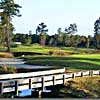 Pine Forest Golf