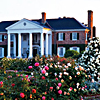 Boone Hall