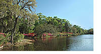 Pond at Historic Middleton Park near Charleston, SC